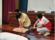 “手”护生命，“急”刻行动(图6)