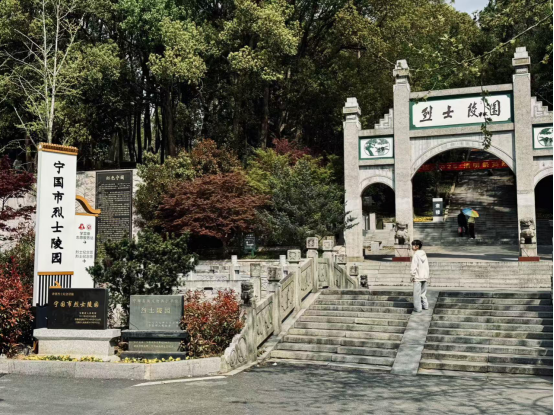 镜头映初心，画笔绘山河——以艺术礼赞祖国(图9)