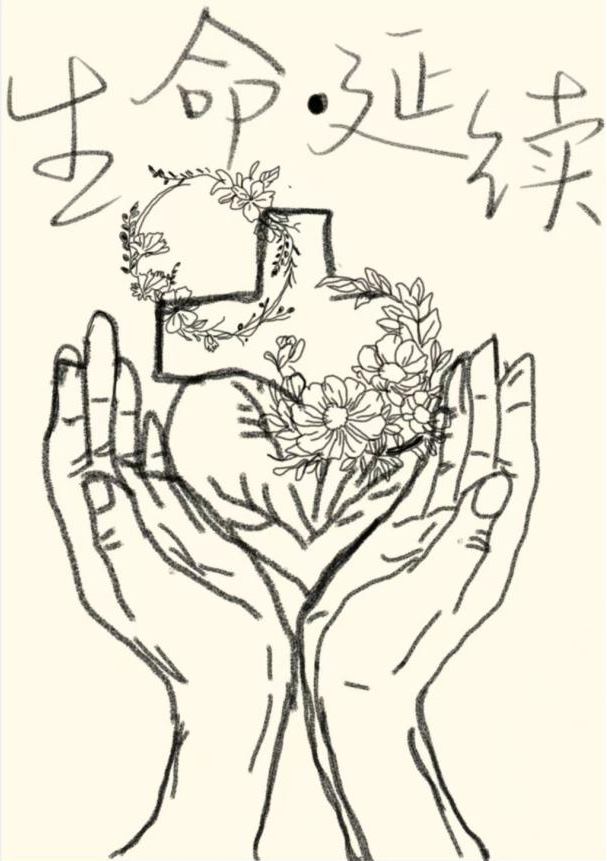 图片3.png 图片3.png